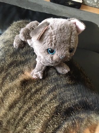 f:id:bluesky-18-tt:20190815165347j:plain