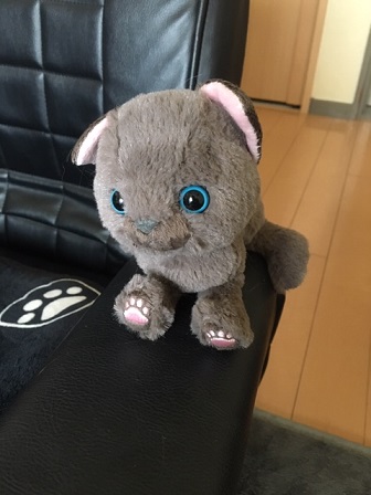 f:id:bluesky-18-tt:20190815165512j:plain
