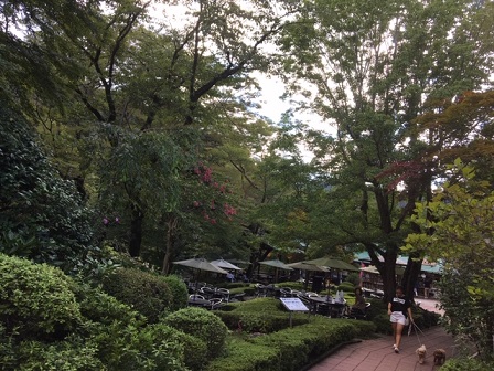 f:id:bluesky-18-tt:20190817104455j:plain