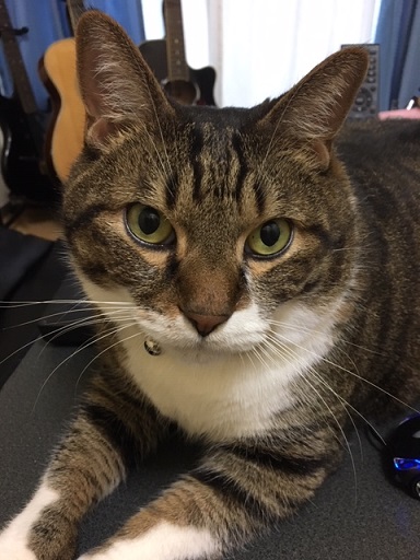 f:id:bluesky-18-tt:20190903190520j:plain