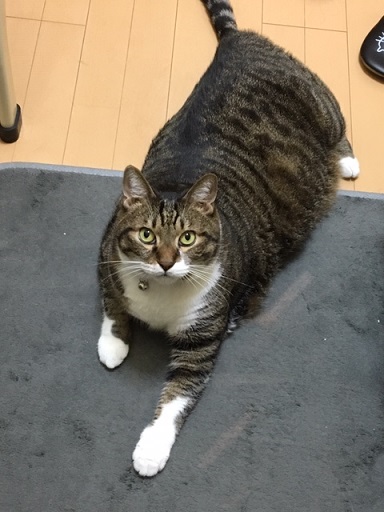 f:id:bluesky-18-tt:20190917185537j:plain