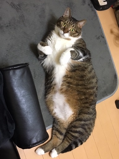 f:id:bluesky-18-tt:20190917185551j:plain
