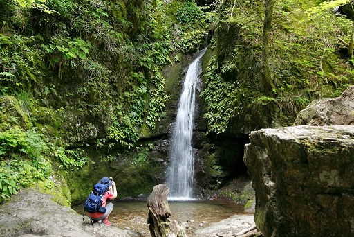 f:id:bluesky-18-tt:20190921182152j:plain f:id:bluesky-18-tt:20190921182152j:plain