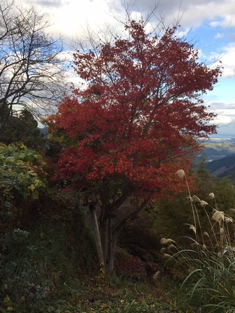 f:id:bluesky-18-tt:20190921183419j:plain f:id:bluesky-18-tt:20190921183419j:plain