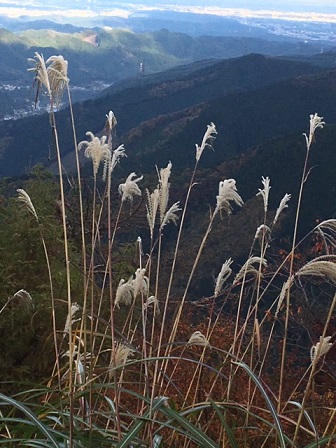 f:id:bluesky-18-tt:20190921183435j:plain f:id:bluesky-18-tt:20190921183435j:plain