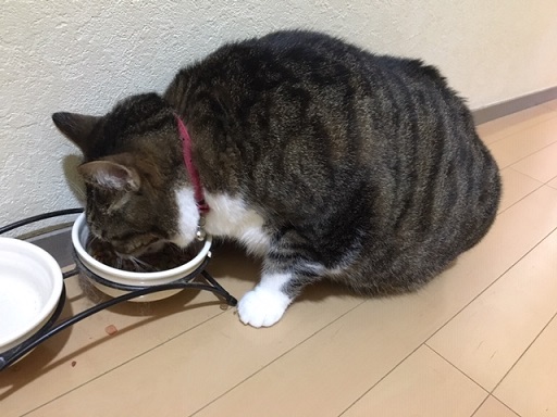 f:id:bluesky-18-tt:20191013173733j:plain