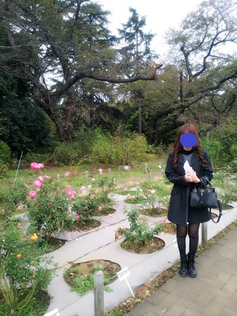f:id:bluesky-18-tt:20191110211807j:plain