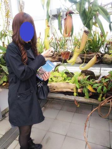 f:id:bluesky-18-tt:20191110211913j:plain