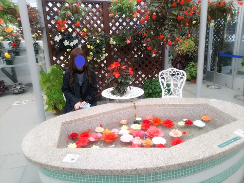 f:id:bluesky-18-tt:20191110211939j:plain