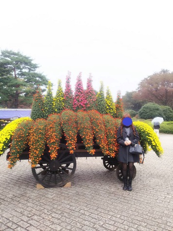 f:id:bluesky-18-tt:20191110211959j:plain