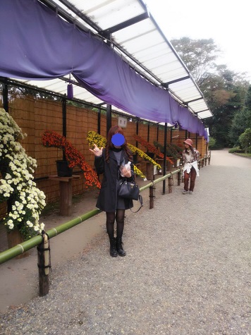 f:id:bluesky-18-tt:20191110212015j:plain
