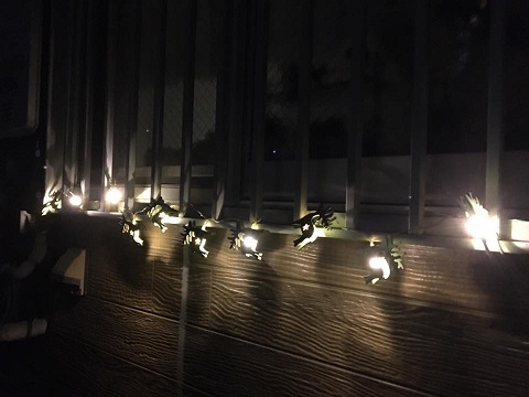 f:id:bluesky-18-tt:20191112184332j:plain