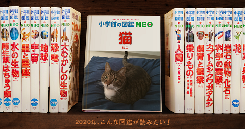 f:id:bluesky-18-tt:20200129183226p:plain