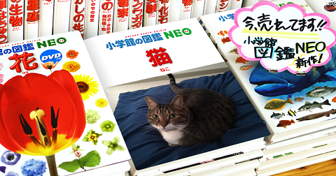 f:id:bluesky-18-tt:20200129183249p:plain