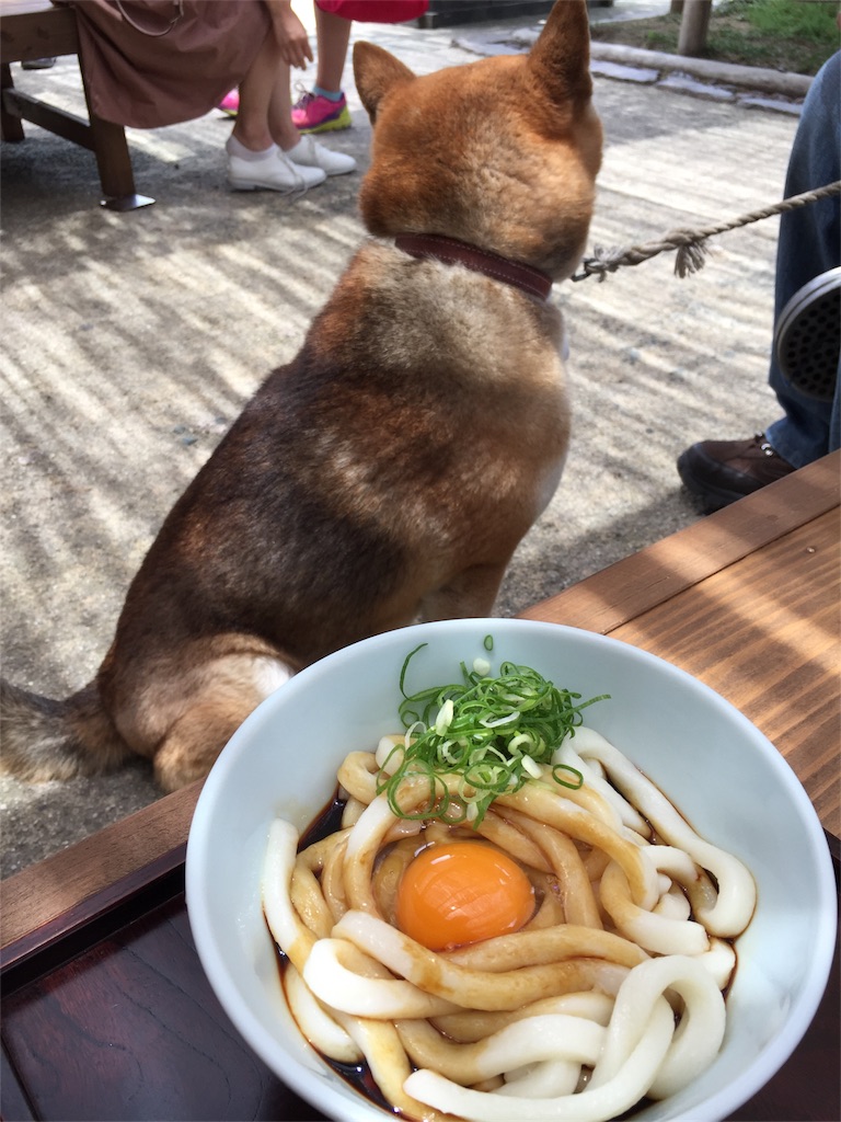 f:id:blueskycafe:20170623122908j:image f:id:blueskycafe:20170623122908j:image