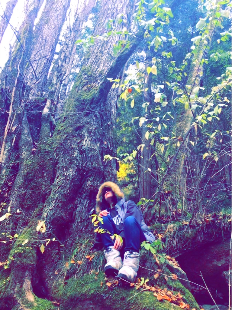 f:id:blueskycompany:20201201144546j:image