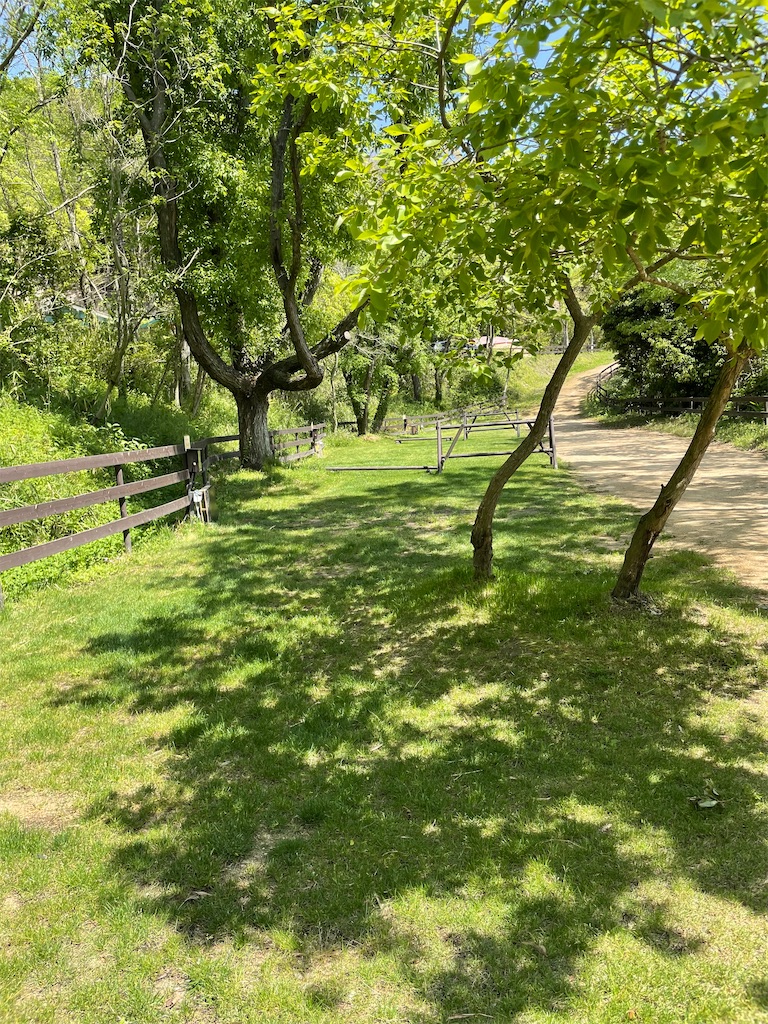 f:id:blueskycompany:20230909054839j:image