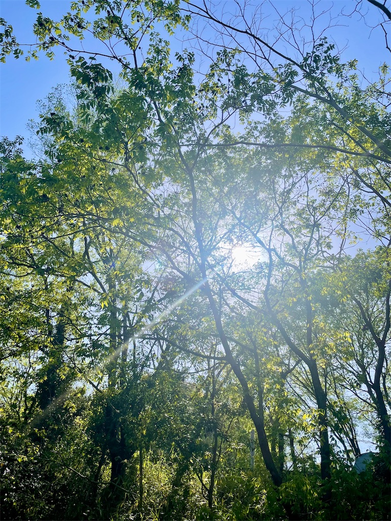 f:id:blueskycompany:20230909054843j:image