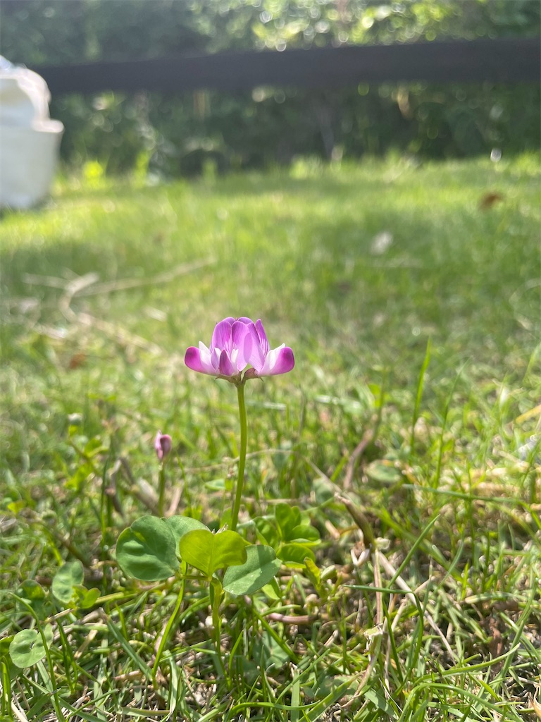 f:id:blueskycompany:20230909054847j:image