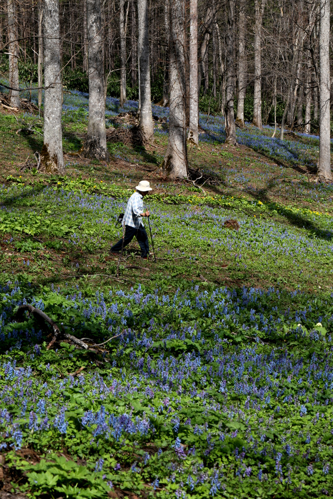 f:id:blueskymayuri:20180509174704j:plain