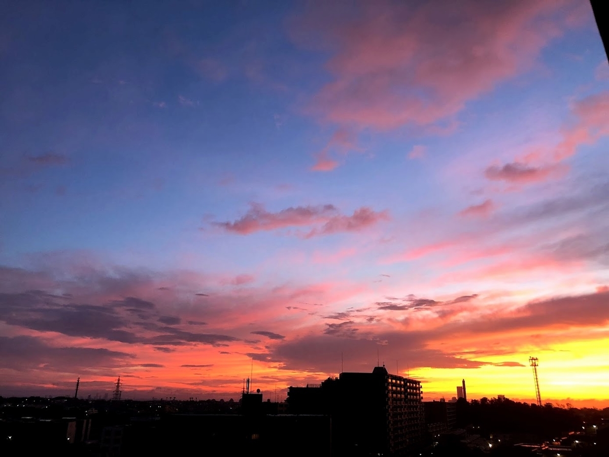 朝焼けの空 Botanic Lovers
