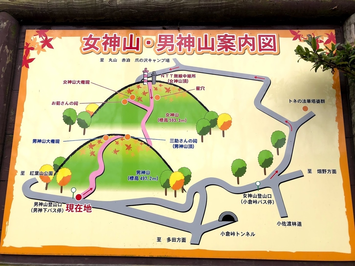 f:id:blueskymayuri:20201209112924j:plain
