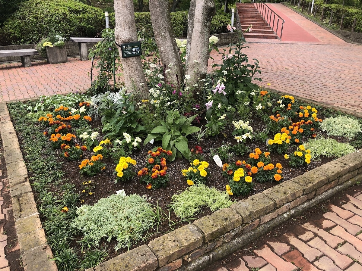 花壇植替え 気分一新 Botanic Lovers