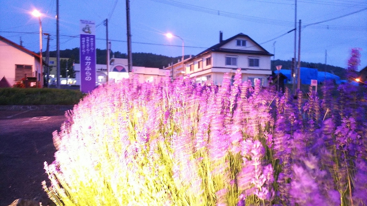 f:id:bluesour:20191004010342j:plain