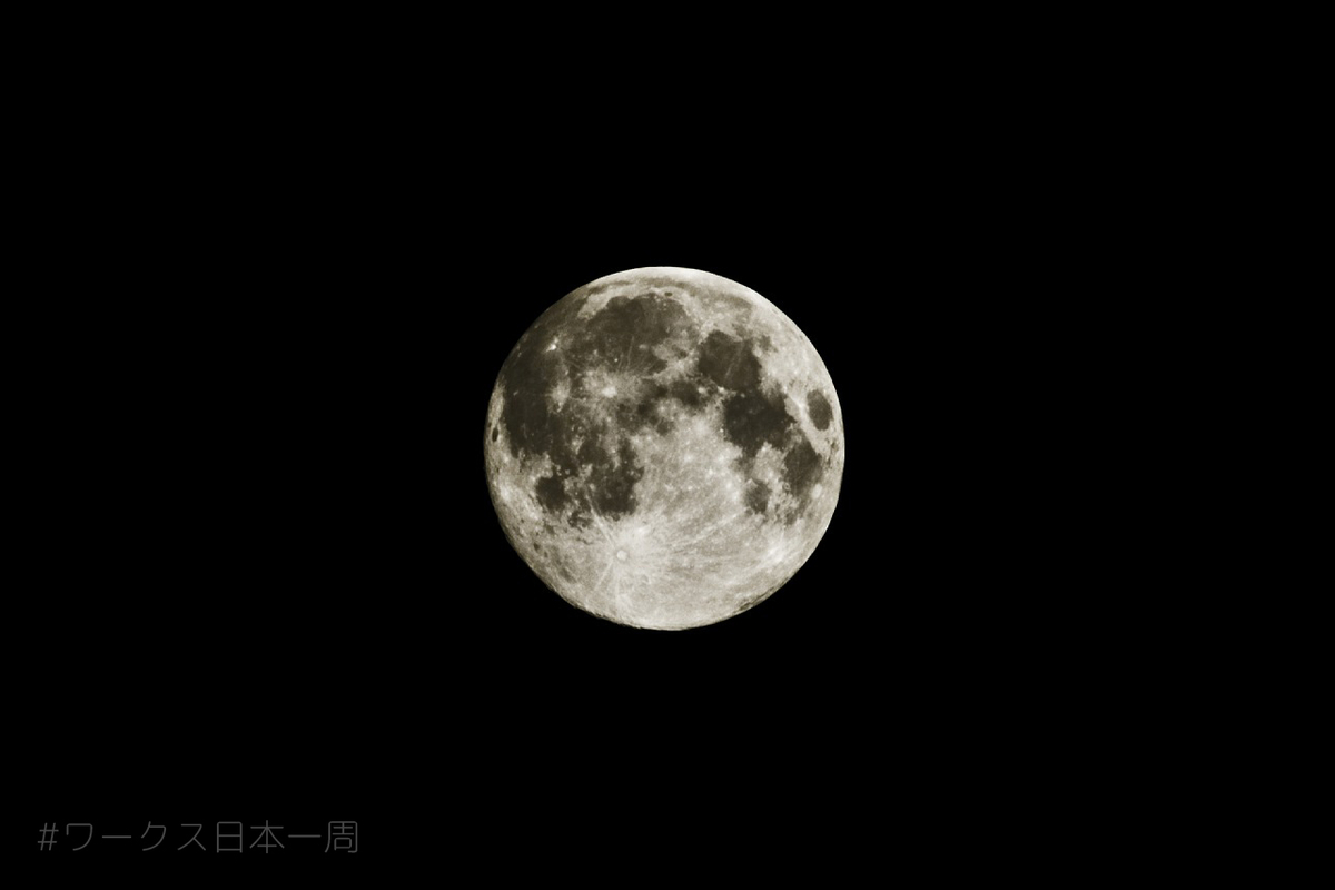 f:id:bluesour:20200408204018j:plain f:id:bluesour:20200408204018j:plain