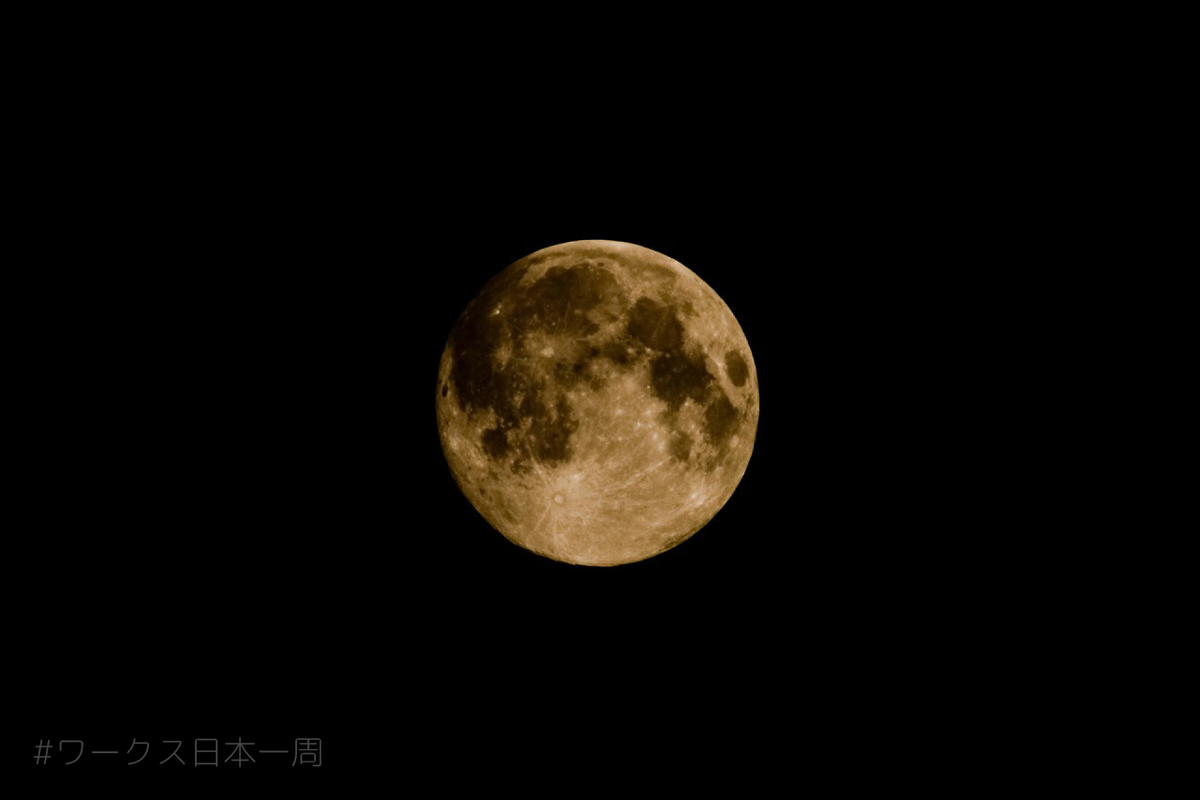 f:id:bluesour:20200408204023j:plain f:id:bluesour:20200408204023j:plain