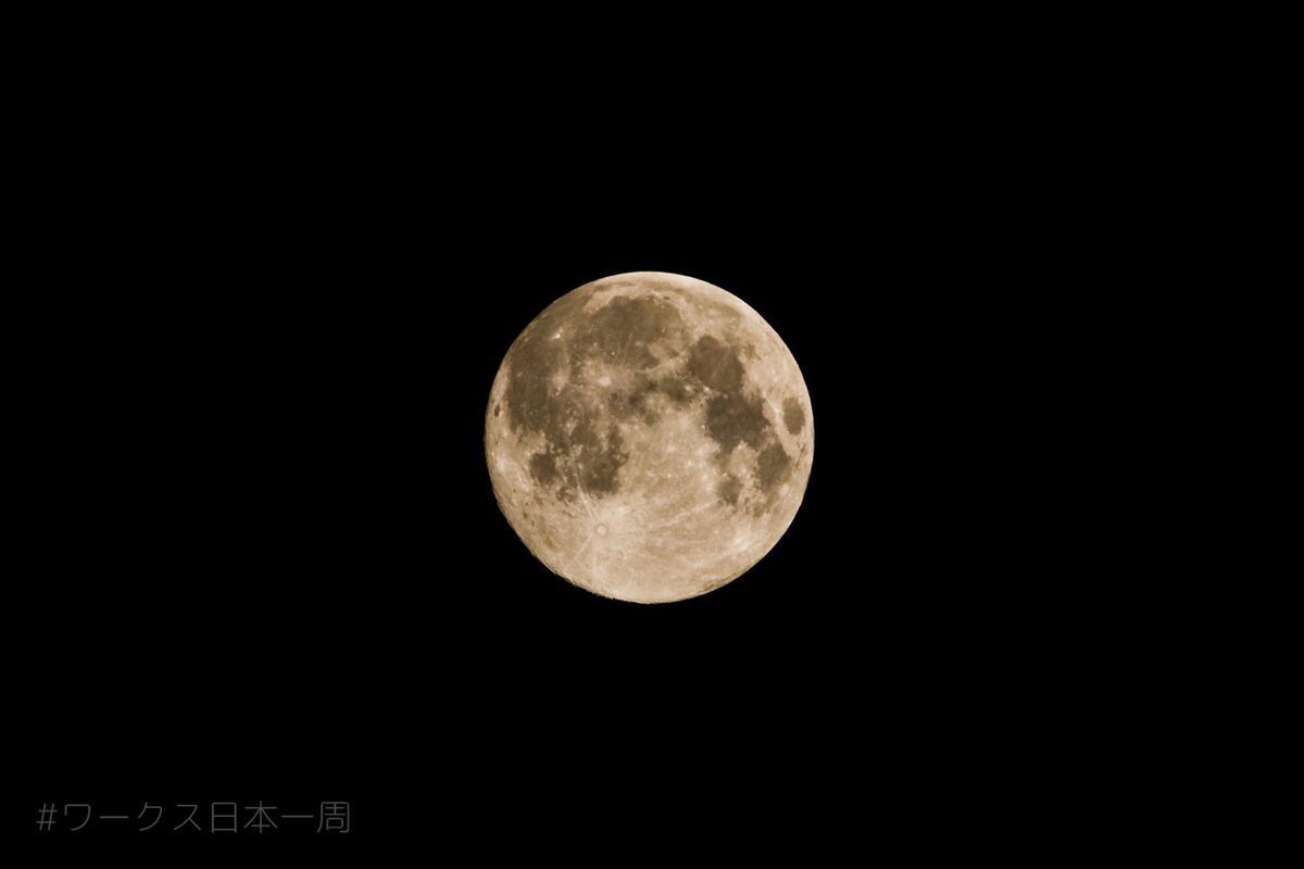 f:id:bluesour:20200408204031j:plain f:id:bluesour:20200408204031j:plain