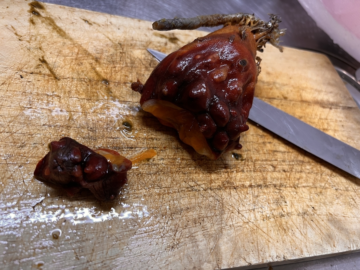 f:id:bluesour:20220413185802j:plain