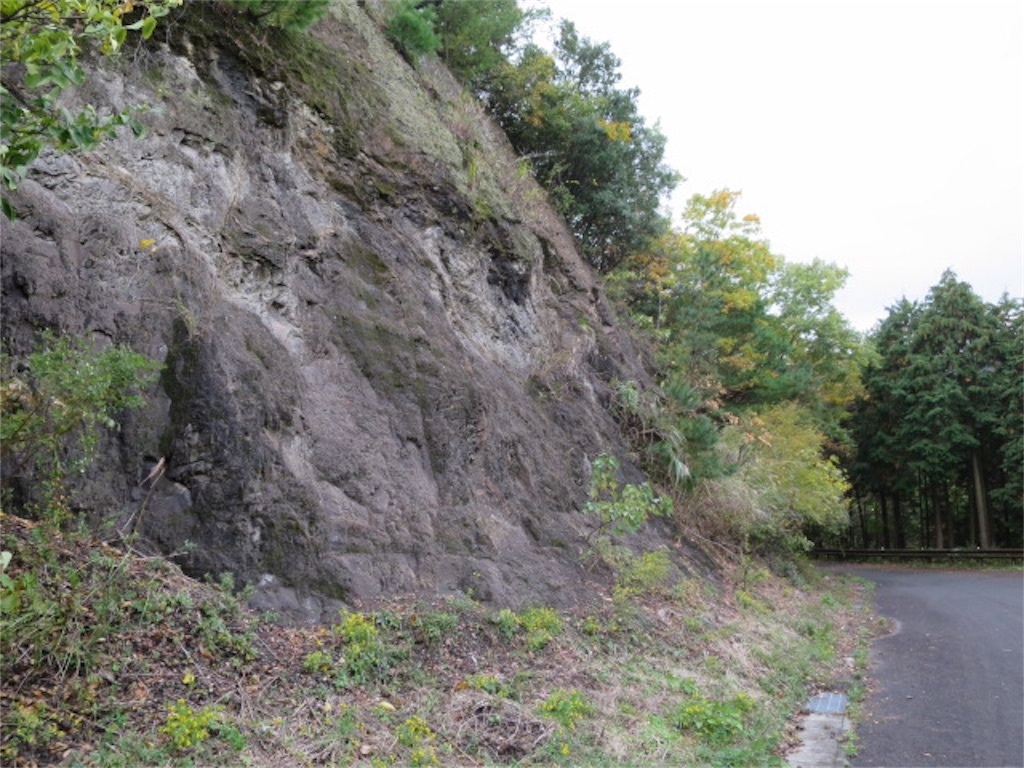 大阪府南部の和泉層群へ化石採集に行ってきました Bluesoyaji S Blog