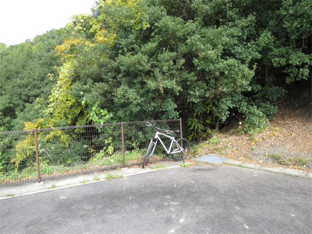 f:id:bluesoyaji:20171121210828j:image