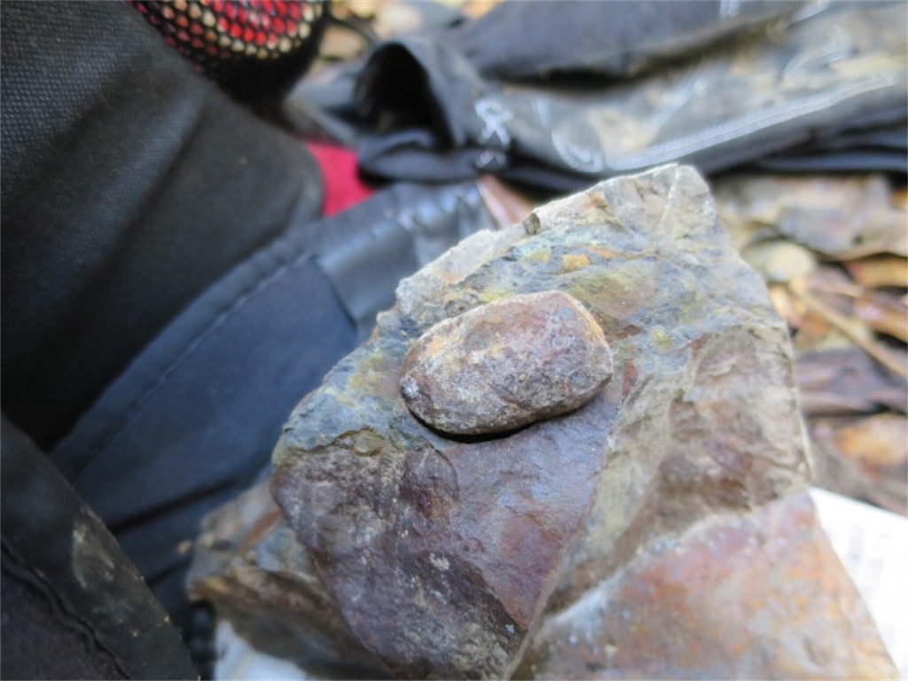 f:id:bluesoyaji:20171121211110j:image