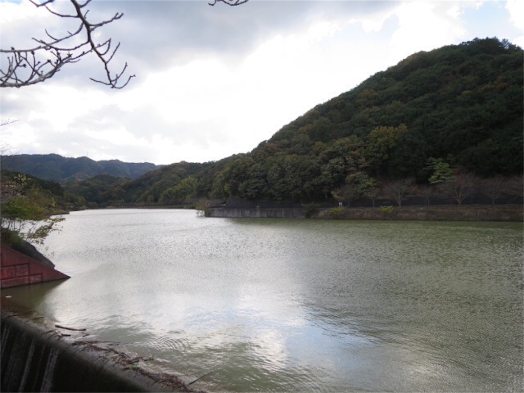 f:id:bluesoyaji:20171121211229j:image