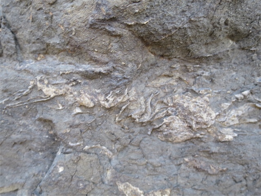 f:id:bluesoyaji:20180430103747j:image f:id:bluesoyaji:20180430103747j:image