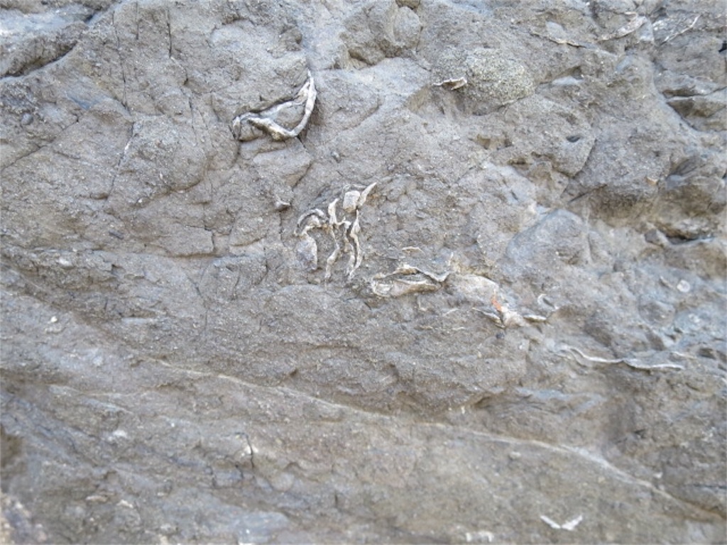 f:id:bluesoyaji:20180430103832j:image f:id:bluesoyaji:20180430103832j:image