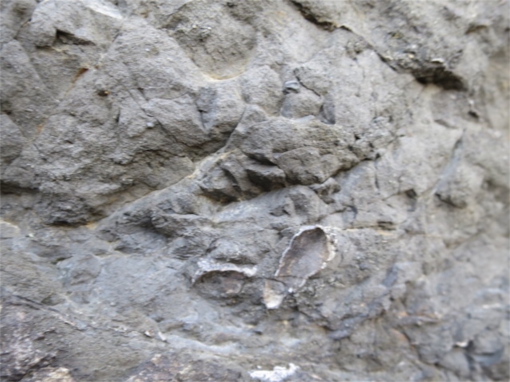 f:id:bluesoyaji:20180430103850j:image f:id:bluesoyaji:20180430103850j:image