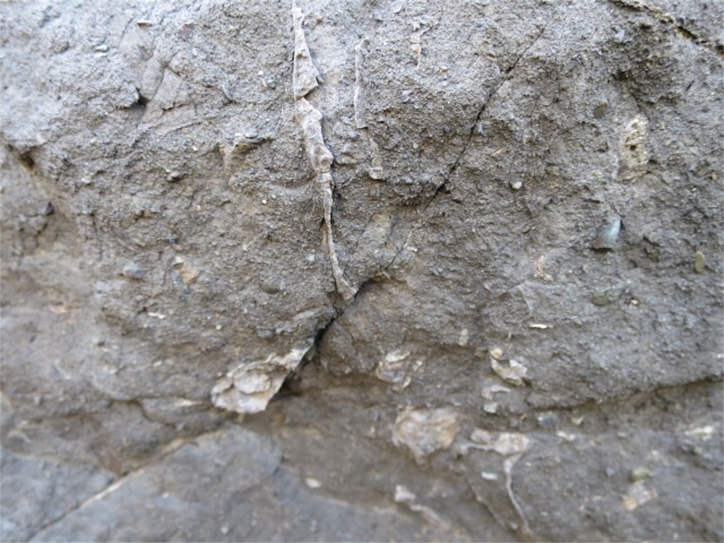 f:id:bluesoyaji:20180430103920j:image f:id:bluesoyaji:20180430103920j:image