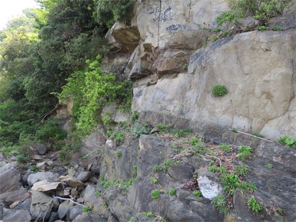 f:id:bluesoyaji:20180430104955j:image f:id:bluesoyaji:20180430104955j:image