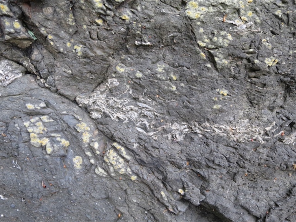 f:id:bluesoyaji:20180430105058j:image f:id:bluesoyaji:20180430105058j:image