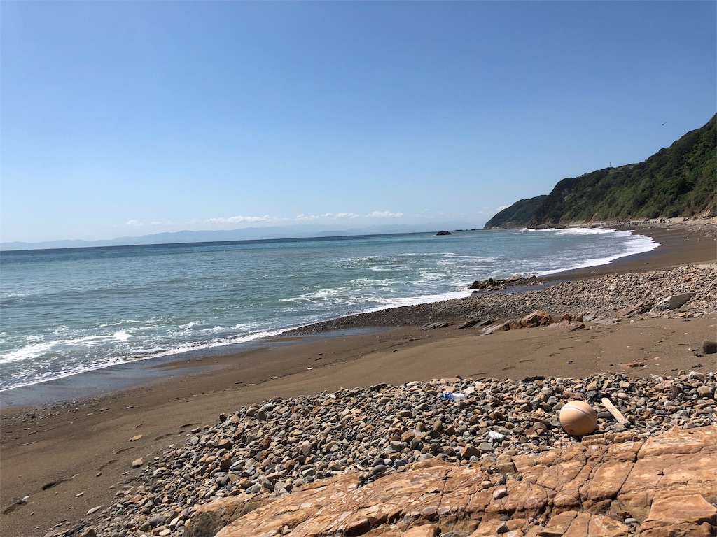 淡路島へ化石採集に行ってきました サンドパイプ 二枚貝が見つかりまし