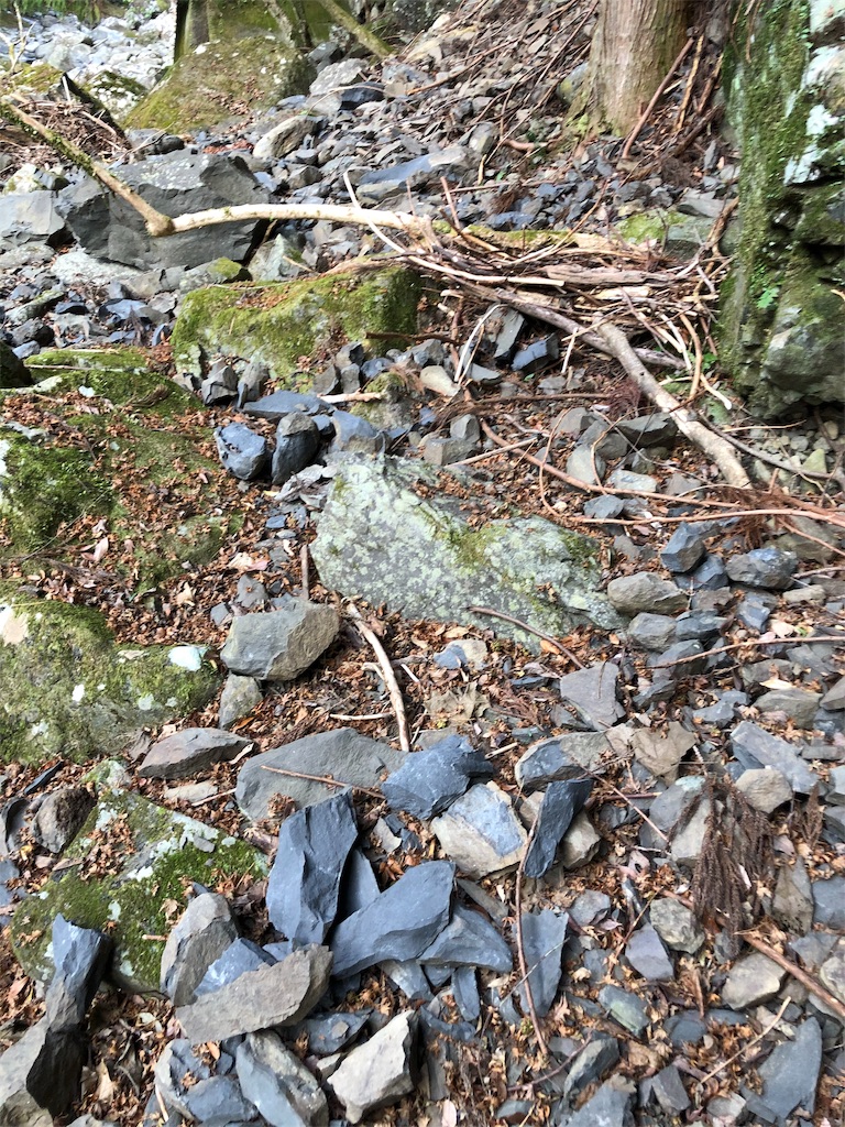 f:id:bluesoyaji:20200111232901j:image