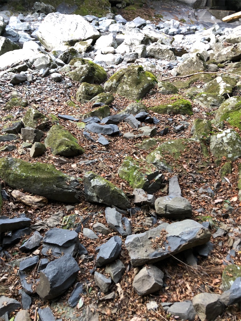 f:id:bluesoyaji:20200111232944j:image