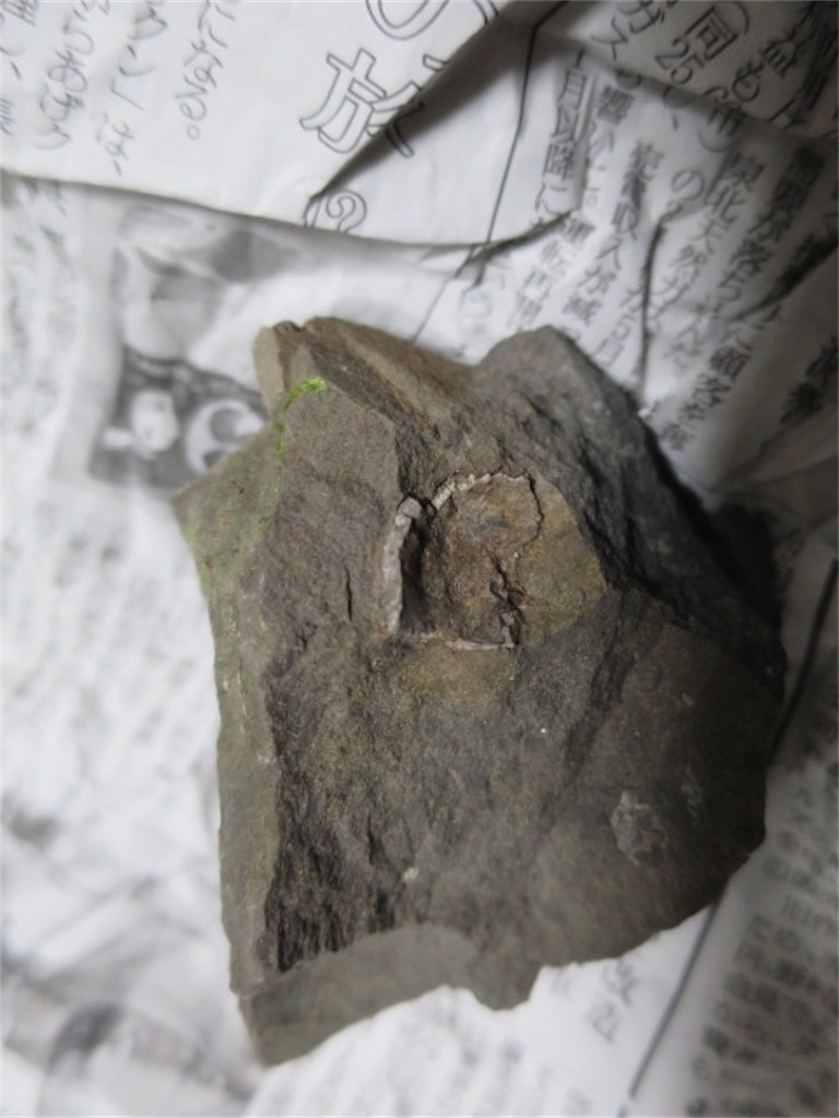 f:id:bluesoyaji:20200111233048j:image