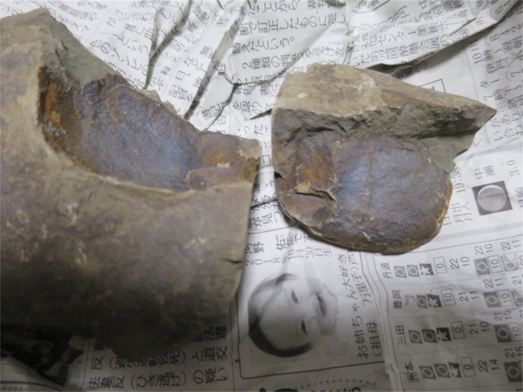 f:id:bluesoyaji:20200111233053j:image