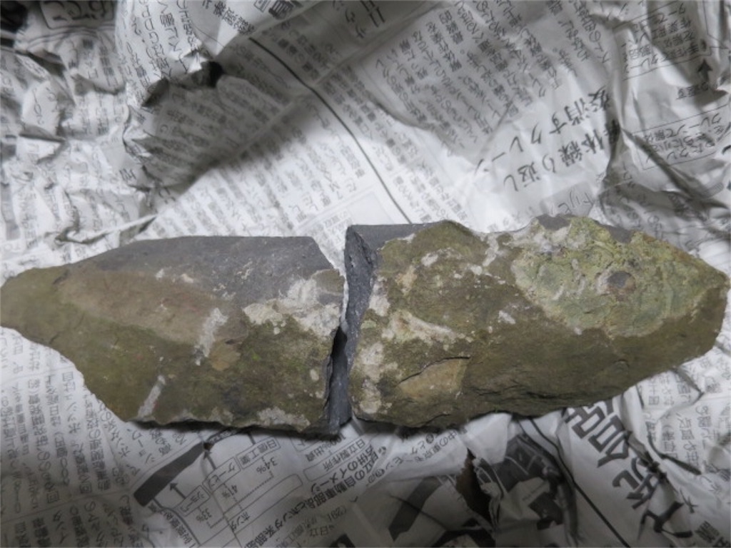 f:id:bluesoyaji:20200111233056j:image