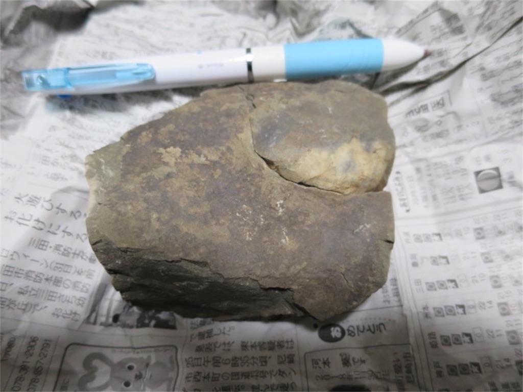 f:id:bluesoyaji:20200111233100j:image