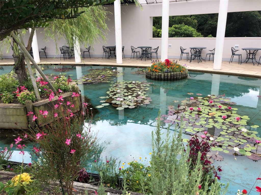 f:id:bluesoyaji:20200315155246j:image